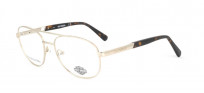 Harley Davidson HD0807 032