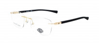 Harley Davidson HD0810 032