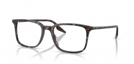 Ray-Ban RB 5421 8424