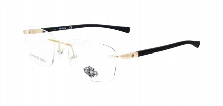 Harley Davidson HD0810 032
